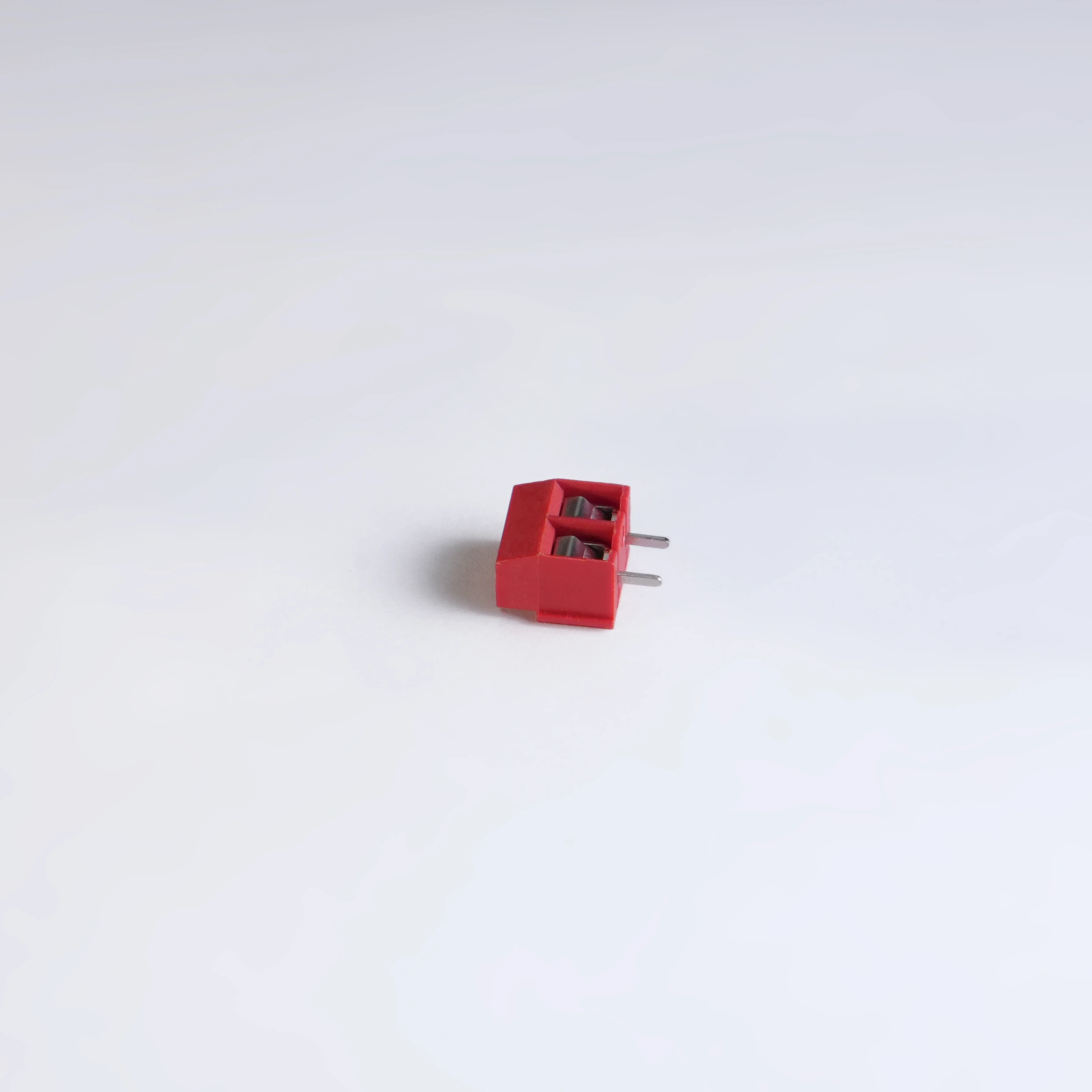 Copy of Copy of DSC08070