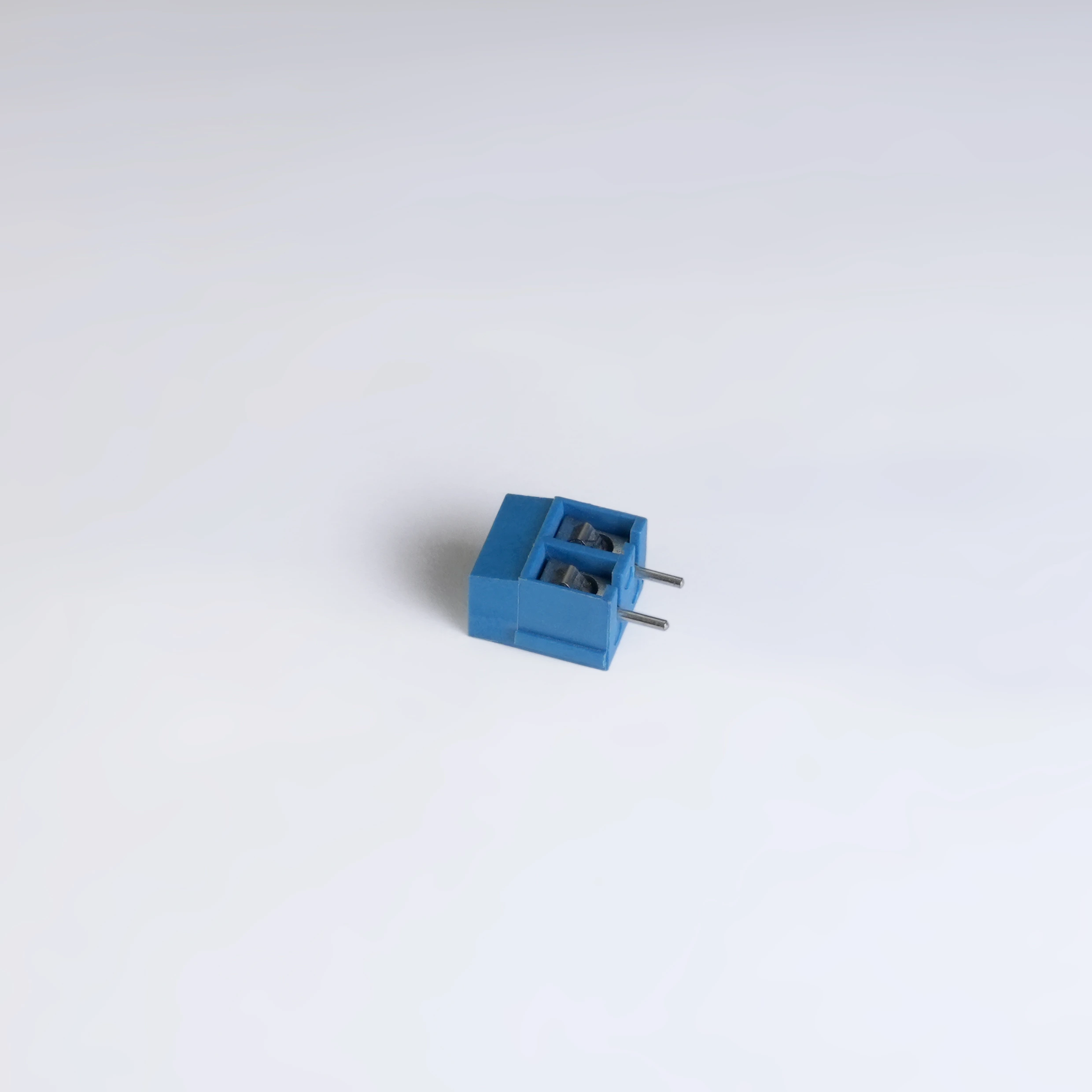 Copy of Copy of DSC08116