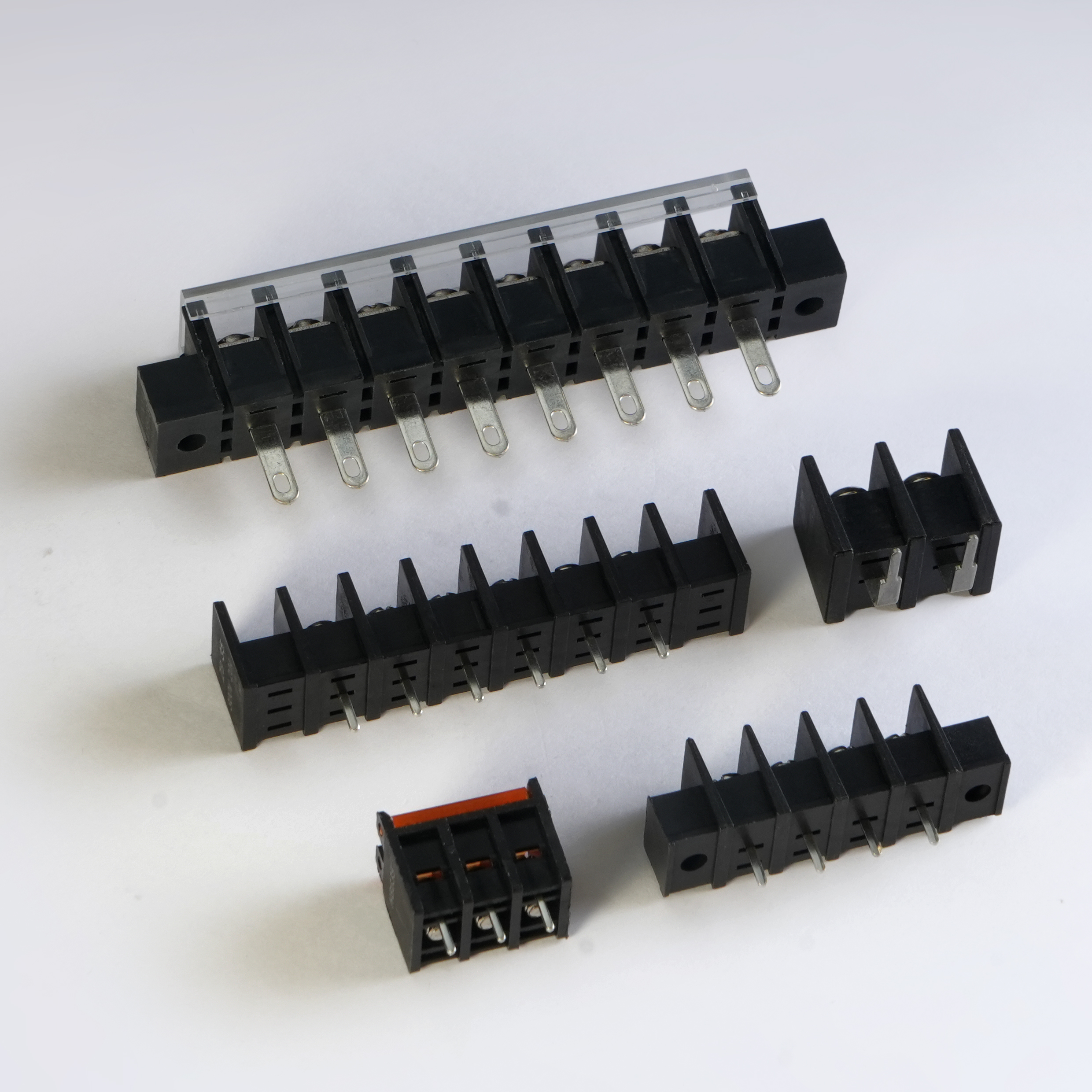 Copy of Copy of DSC08495