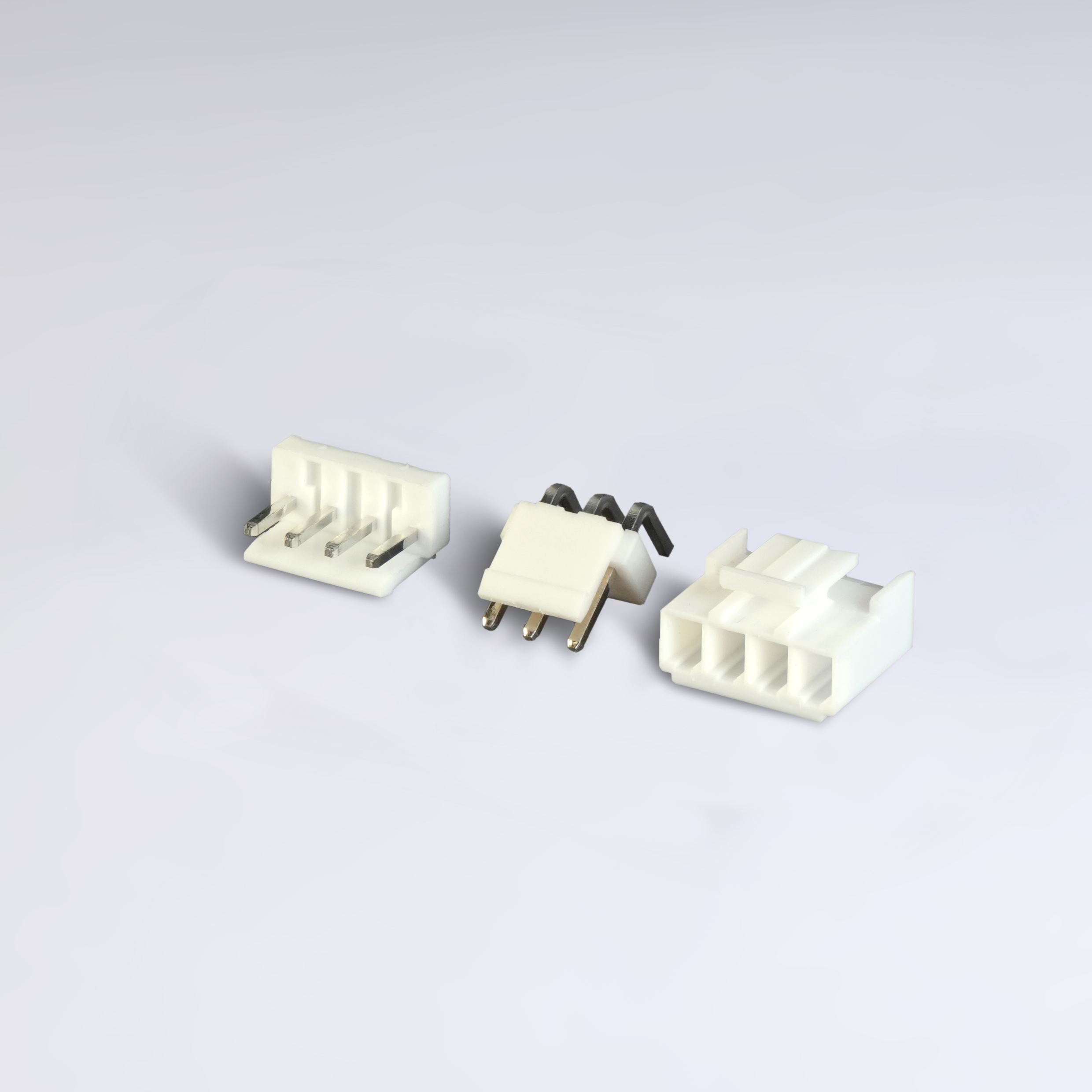 Copy of Copy of DSC08551 (1)